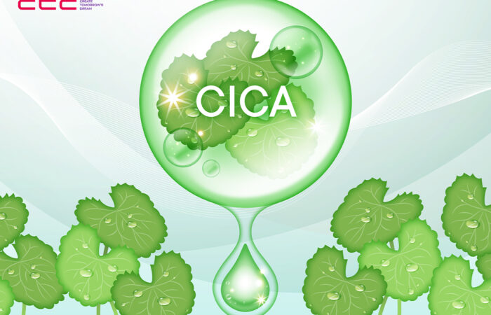What Is Cica in Skincare
