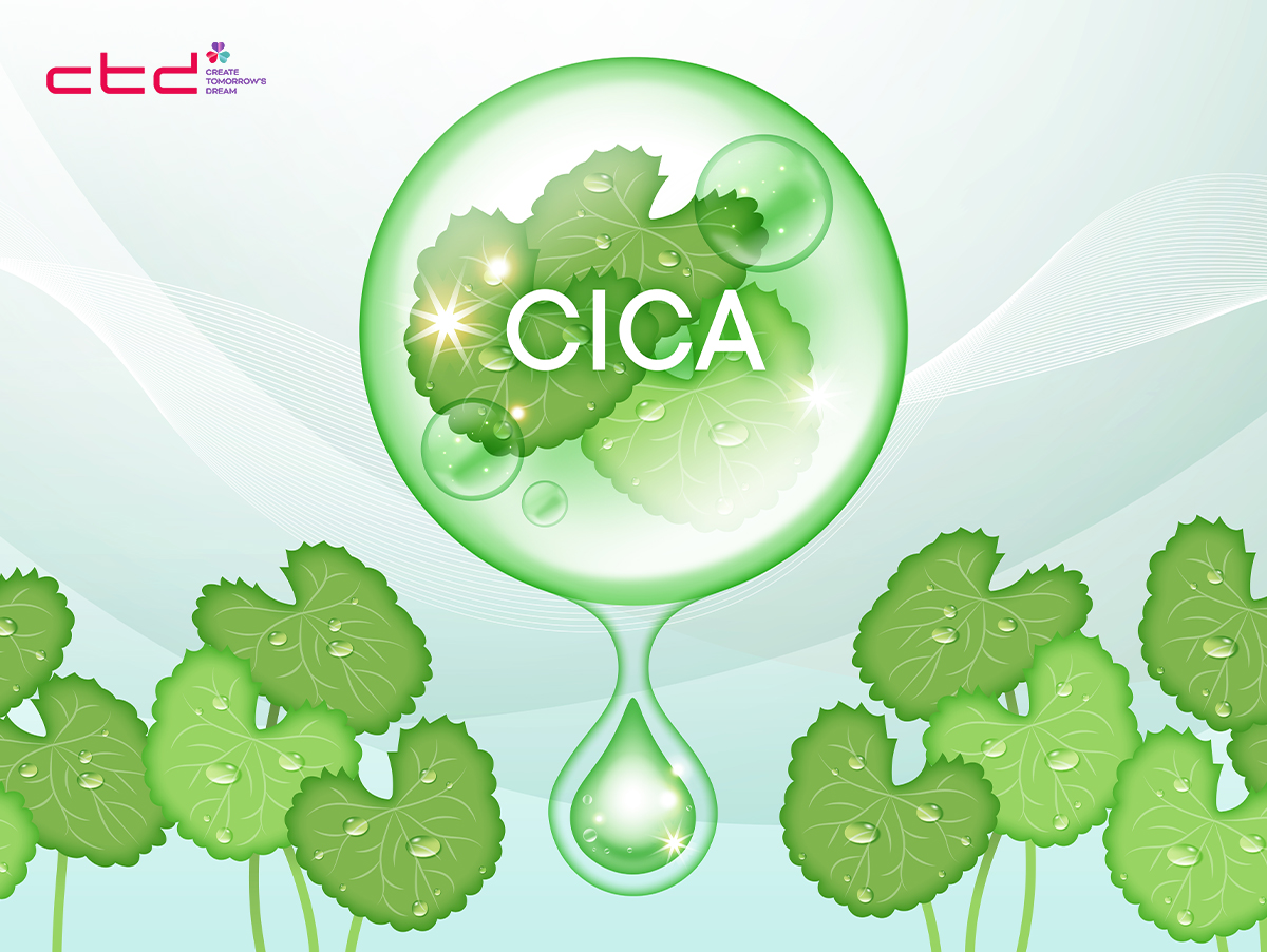 What Is Cica in Skincare